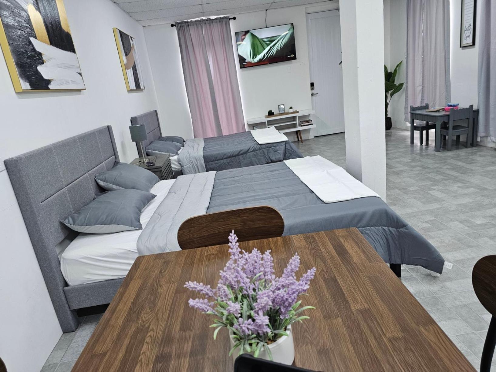 Salmos 23 Acogedor Apartamento Estudio Ceiba Екстериор снимка